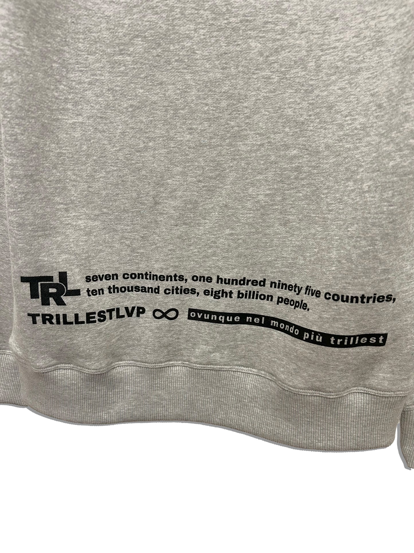 7 Continents hoodie - Grey